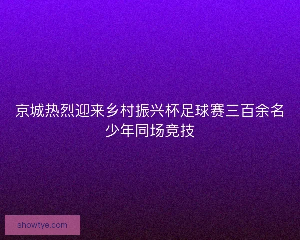 京城热烈迎来乡村振兴杯足球赛三百余名少年同场竞技